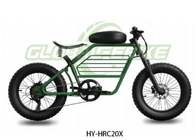 Chine Un e-rider de design vert léger de style rétro avec une super puissance de moteur de 750W à vendre