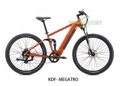 Chine MegaTrail 29 pouces vélo de montagne électrique avec moteur 250W et freins à disque hydraulique à vendre