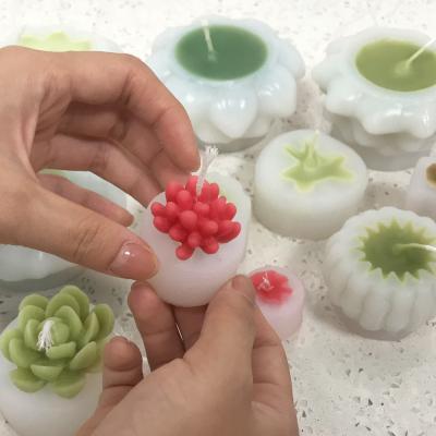 Cina MHC Candele 3d uniche Piccole Succulente kit di produzione di candele succulente Forme di candela Candela Forme di silicone in vendita