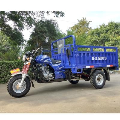 China Cargo 200cc 3 Wheel Trike Gasoline Tricycle For Cargo Motorbike Motorized Trike Motorcycle for sale