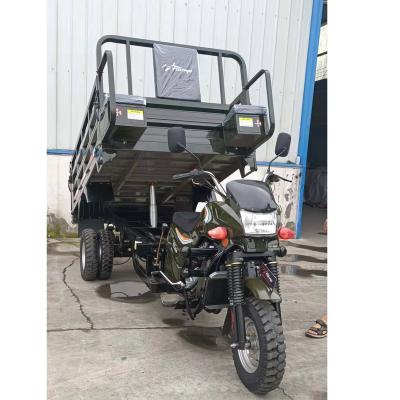 China Cargo 3 Wheel Tricycle For Cargo Motorcycle Motorized Trike Motorcycle for sale