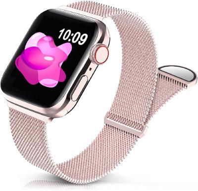 China Apple Adjustable Strap 38mm 40mm 42mm 44mm Apple Watch Metal Band / Apple Stainless Steel for sale