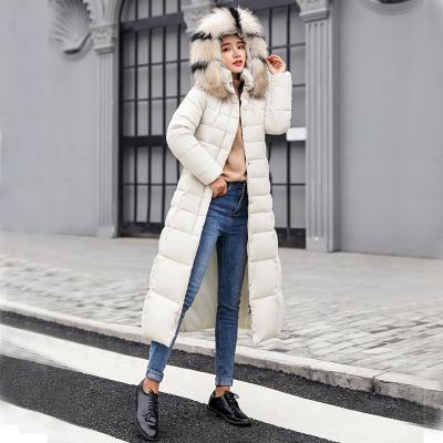 China Women's winter anti-shrink down coat 2019 new clothes Cotton-padded thickening down coat jacket winter long down parka plus size M-3XL for sale