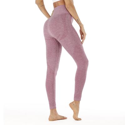 China 2019 New Style Mesh Multicolor Slim Yoga Sports Fitness Pants Women Antibacterial Antibacterial Arm Warmers for sale