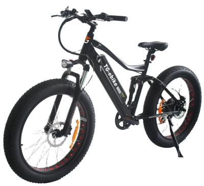 China Powerful aluminum alloy mountain bike 48V lithium battery ebike 750W electric cheap electric bicycle with EN15194 for sale