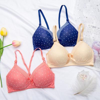 China High Quality Dot Printed Nylon Padded Push Up Cup B Cup Up Sexy Ladies Bra Women Lingerie for sale