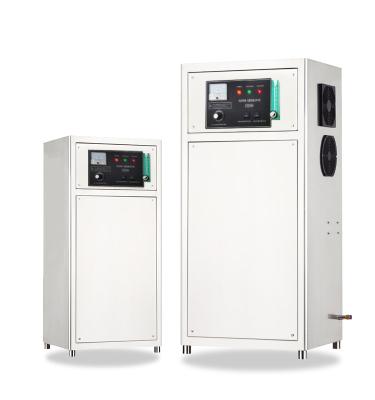 China Full Automatic Built-in 20g/h Ozone Generator For Home Cool, Cool Bathroom, Purify The Air for sale