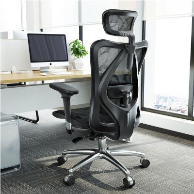 China Free Sample China Commercial Ergonomic Furniture Height Adjustable Mesh Chair High Back Executive (Height) Office Chair for sale