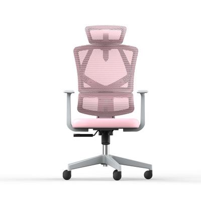 China Supplier Adjustable Waterproof (Height) Factory Price Adjustable Manufacturer Staff Chair Mesh Office Chair Middle Back Fireproof Office Chair for sale