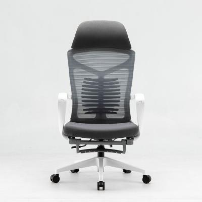 China Factory Direct Supply Adjustable Mesh Chair Home Economic Mesh OEM Stylish Executive Computer Chairs for sale