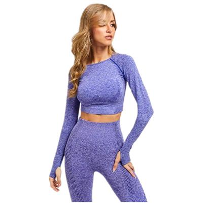 China Anti-Wrinkle Women Sport Seamless Active Wear Fitness Yoga Sets for sale