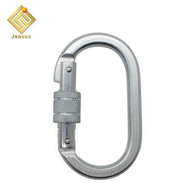 China Wholesale 23 Oval Carabiner Hook Screw Steel Lock Carabiner Climbing Security Carabiner for sale