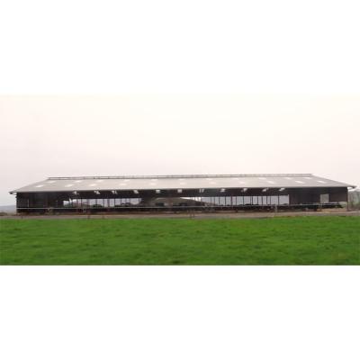 China High Quality Traditional Easy Installation Steel Structure Dairy Farm Lightweight Steel Structure Cast For Milk Cow for sale