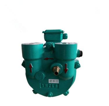 China SK-A/SK/SK-D/2BV Food and Beverage Industry Liquid Ring Vacuum Pump for sale