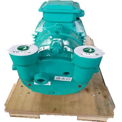 China Biofuel Industry 2BV Series Single Stage Liquid Ring Vacuum Pump for sale