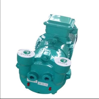 China Biofuel Industry 2BV2 061 Single Stage Vacuum Pump for sale