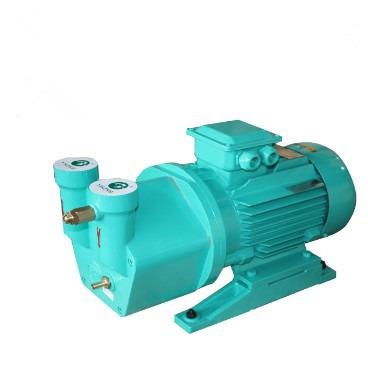 China Biofuel Industry 5HP Liquid Ring Vacuum Pump for sale