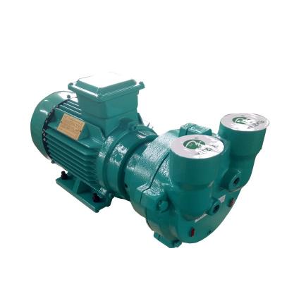 China Biofuel Industry Liquid Ring Vacuum Pump Made in China for sale