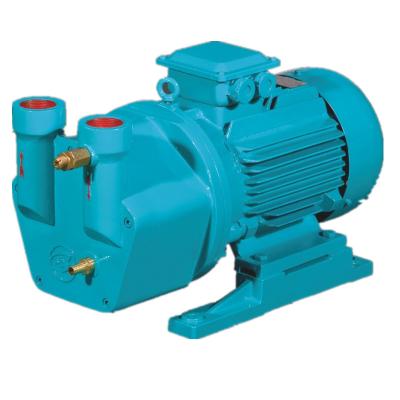 China Biofuel Industry SK-1.5 Liquid Ring Vacuum Pump Manufacturers In China for sale