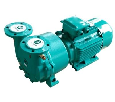 China Biofuel Industry SK-2D Liquid Ring Vacuum Pump for sale