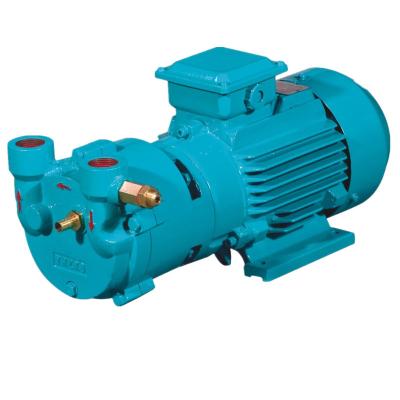 China Biofuel Industry Liquid Ring Vacuum Pump For Food And Beverage Industry for sale