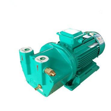 China Organic fuel industry YHZKB Yulong brand one-piece liquid ring vacuum pump 0.75kw for sale