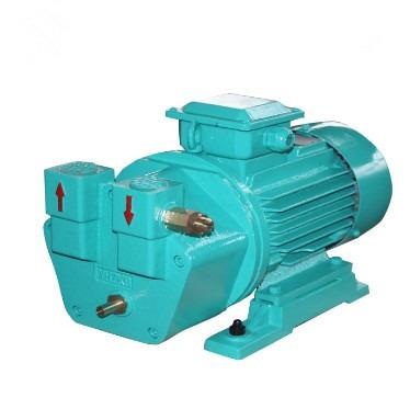 China Biofuel Industry Liquid Ring Vacuum Pump For Packaging Industry for sale