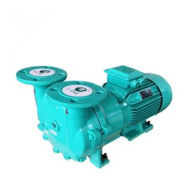 China Liquid Biofuel Industry Ring Vacuum Pump GIF for sale