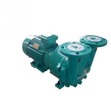 China Biofuel Industry Model 2BV5 161 Liquid Power 20HP Capacity 8.33 Ring Vacuum Pump for sale