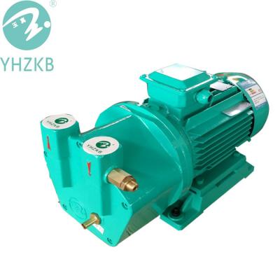 China Extract Air SK -0.2 Water 0.75Kw Ring Vacuum Pump For Vacuum Cleaning Plant for sale