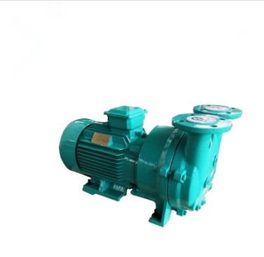 China Biofuel Industry YHZKB Brand Ring Vacuum Pump Liquid Cooling Water for sale