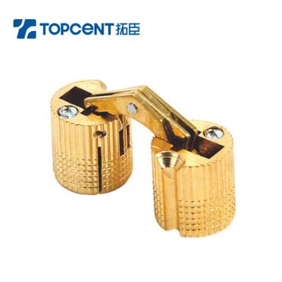 China Topcent Modern Furniture Hardware 180 Degree Pure Brass Small Concealed Hinge Barrel Hinge for sale