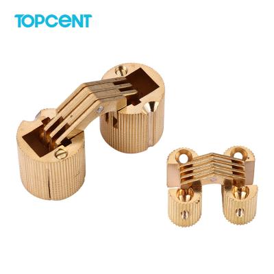 China TOPCENT Modern Furniture Hardware 180 Degree Spure Hinge Small Brass Hidden Barrel Hinges for sale