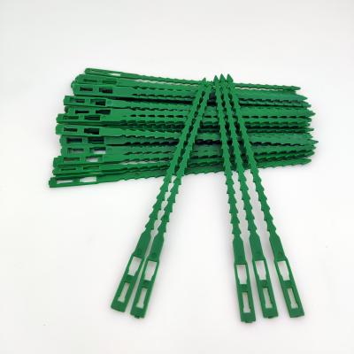 China Classical Green Gardening Climbing Lines Vine Plants Cable Ties Frames Parts Bonsai Flower Cucumber Grape Rattan Sills for sale