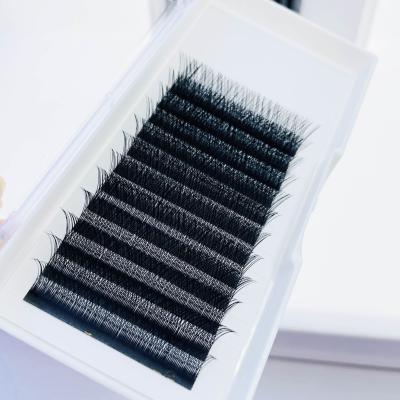 China YY Natural Individual Long Eyelash Lashes Natural Matte Eyelash Extension Eyelash Volume Light Lashes for sale