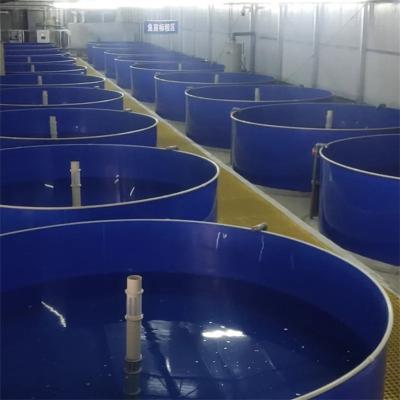 China Indoor plastic fish farming water treatment pp aquariums and indoor PVC fish farming tanks for land based ras system for sale