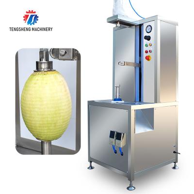 中国 1.0KWスイカの果物と野菜ピーラー機械産業電気フード プロセッサ 販売のため