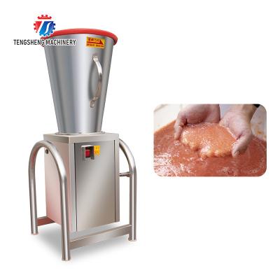 China Commerciële de Machinemango Pitaya Juice Extractor van Fruitjuicer Te koop