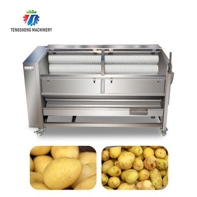 China Lavado industrial de la patata 1500KG/H y equipo de limpieza del rodillo vegetal del cepillo de la peladora en venta