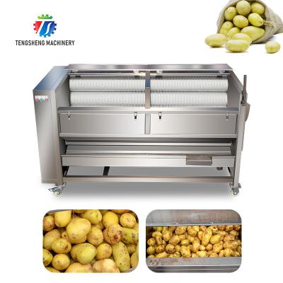 China Haarrollenreinigungsmaschinenkarottenautomatische Schalenreinigungskartoffelschälmaschine der Süßkartoffel 1500KG/H zu verkaufen