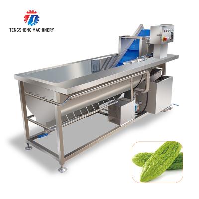 China Máquina de limpieza multifuncional de la limpieza de la fruta y verdura de la corriente de Foucault de la máquina de la burbuja de aire de la manzana vegetal 180KG en venta