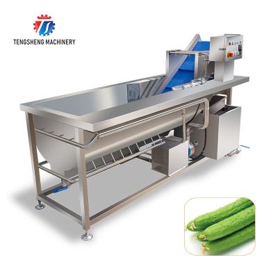 China Fruit and vegetable washing machine automatic vegetable, fruit and fruit eddy current washing machine line for sale