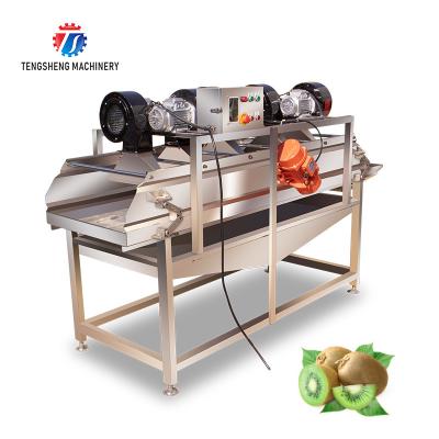 China 380V 4.25KW Vibration air drying operation line green bean vibration air drying equipment high wind vibration air dryer for sale