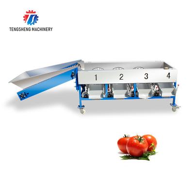 China 280KG Lemon screening and grading machine special stainless steel roller fruit sorting machine fruit sorting machine for sale