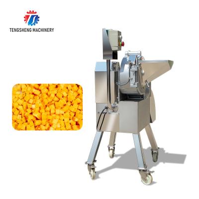 China Tengsheng 800KG/H Vegetable Dicer Machine Banana Conveyor SS304 for sale