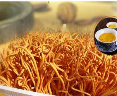 China Dried High Quality Organic Dried Cordyceps Militaris Dehydrated Shiitake Mushrooms Cordyceps Flowers for sale