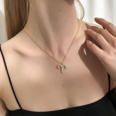 China Fashion TRENDY New Zodiac Lucky Necklace Set With Diamonds Necklace Pendant for sale