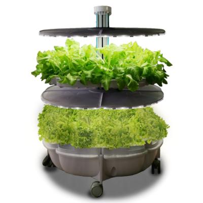 China Desktop Low Cost Vertical Hydroponic Growing System With LED Lights For Family Soilless Growing for sale