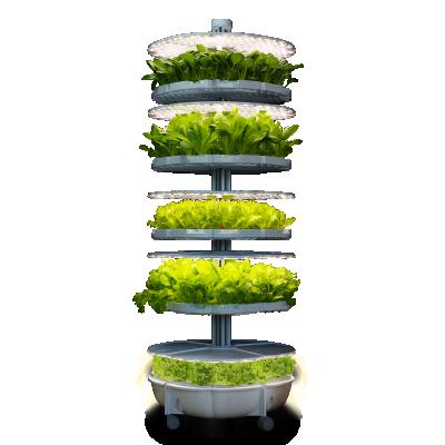 China Desktop Indoor Vertical Garden Hydroponic Growing Systems Planting For Growing Vegetables for sale