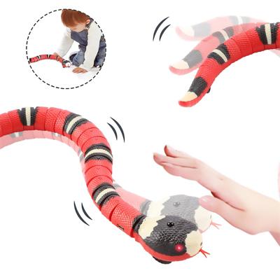 China Viable Smart Sensing Snake Cat Toys Electric Interactive Toys For Cats USB Charging Game Play Toy Cat Accessories For Pet Dogs for sale